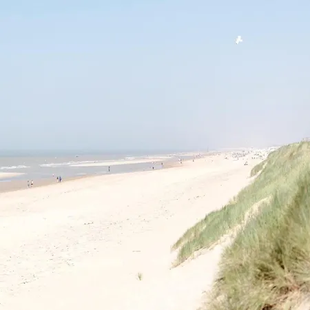 In With Stunning Sea Views ウェンドゥイネ