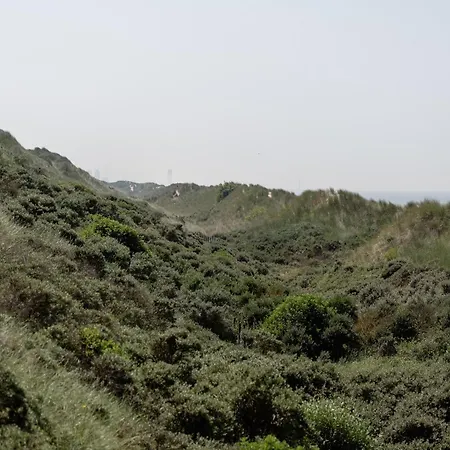 In With Stunning Sea Views アパート ウェンドゥイネ